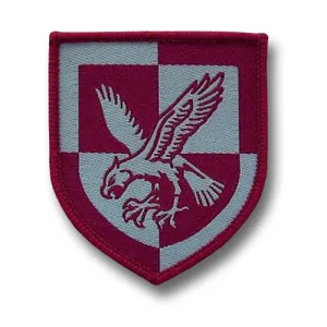 16 AIR ASSAULT DZ BADGE Silvermans