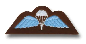 CLOTH PARA WINGS Silvermans