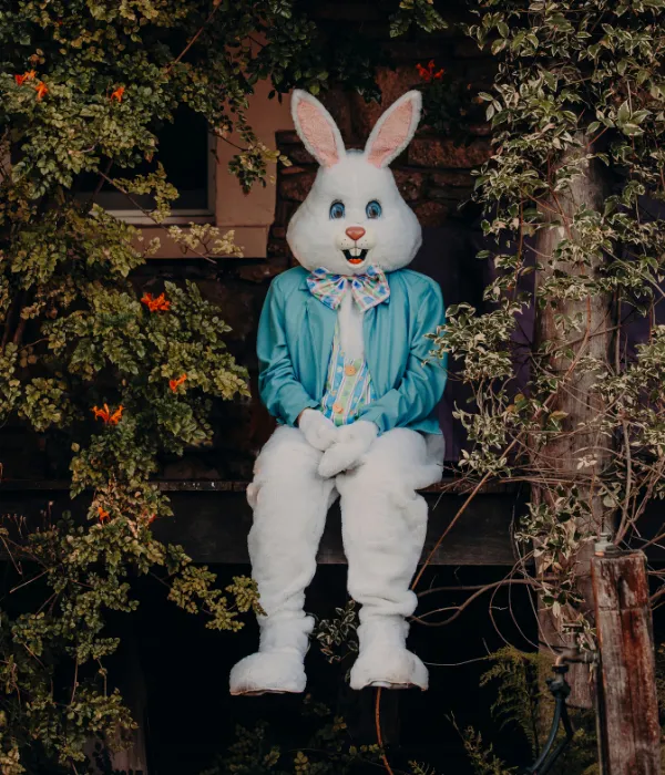 Deluxe Easter Bunny Adult Costume