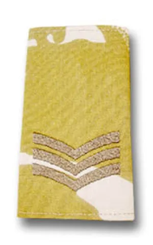 DESERT EPAULETTE SLIDES Silvermans