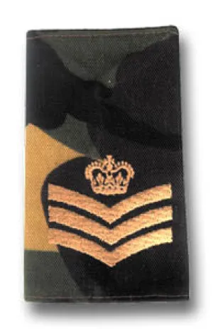 DPM SOLDIER 95 EPAULETTE GOLD Silvermans