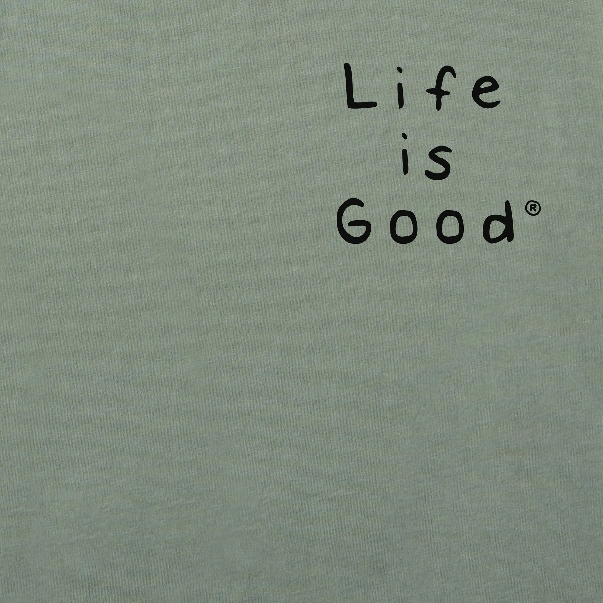 Men's Better at the Lake Raccoon Short Sleeve Tee Life is Good