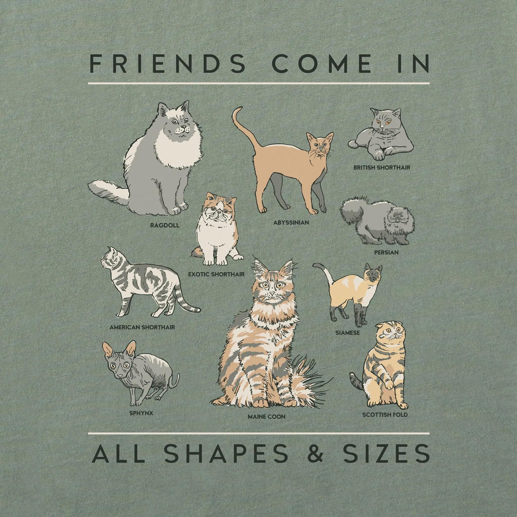 Men's Cat Friends Shapes & Sizes Short Sleeve Tee Life is Good