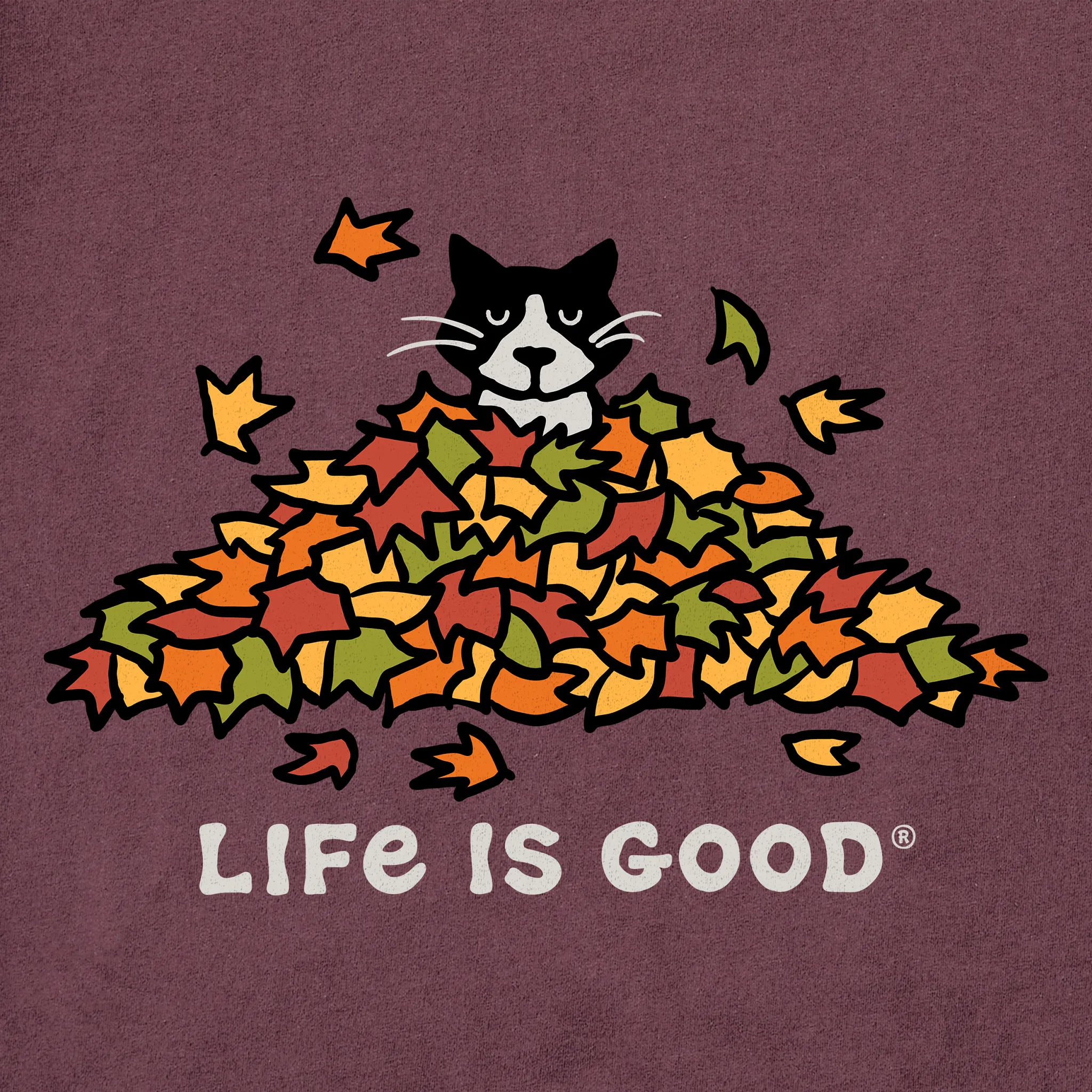 Men's Cat Gets Up and Leaves Short Sleeve Crusher Tee Life is Good