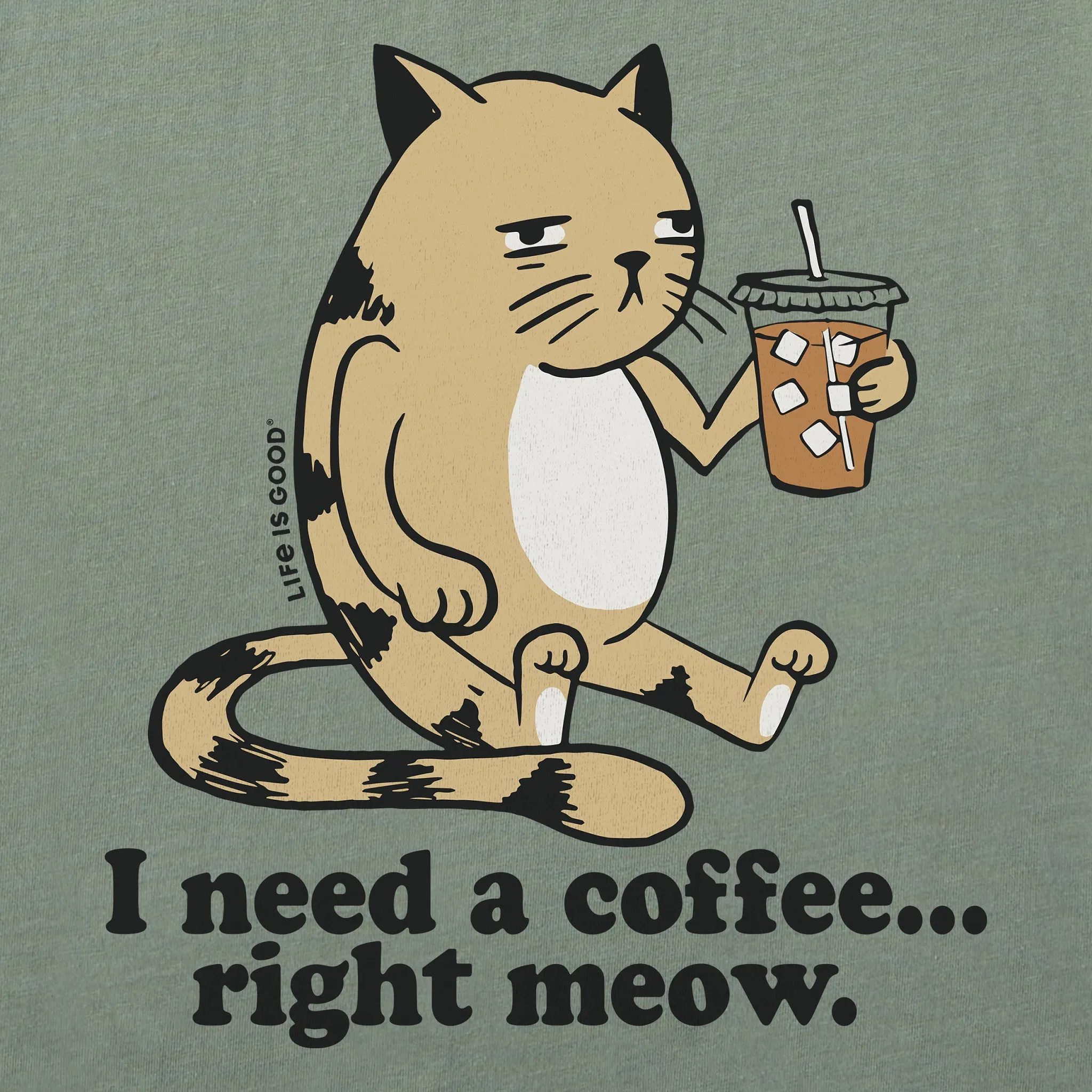 Men's I Need a Coffee Right Meow Short Sleeve Tee Life is Good