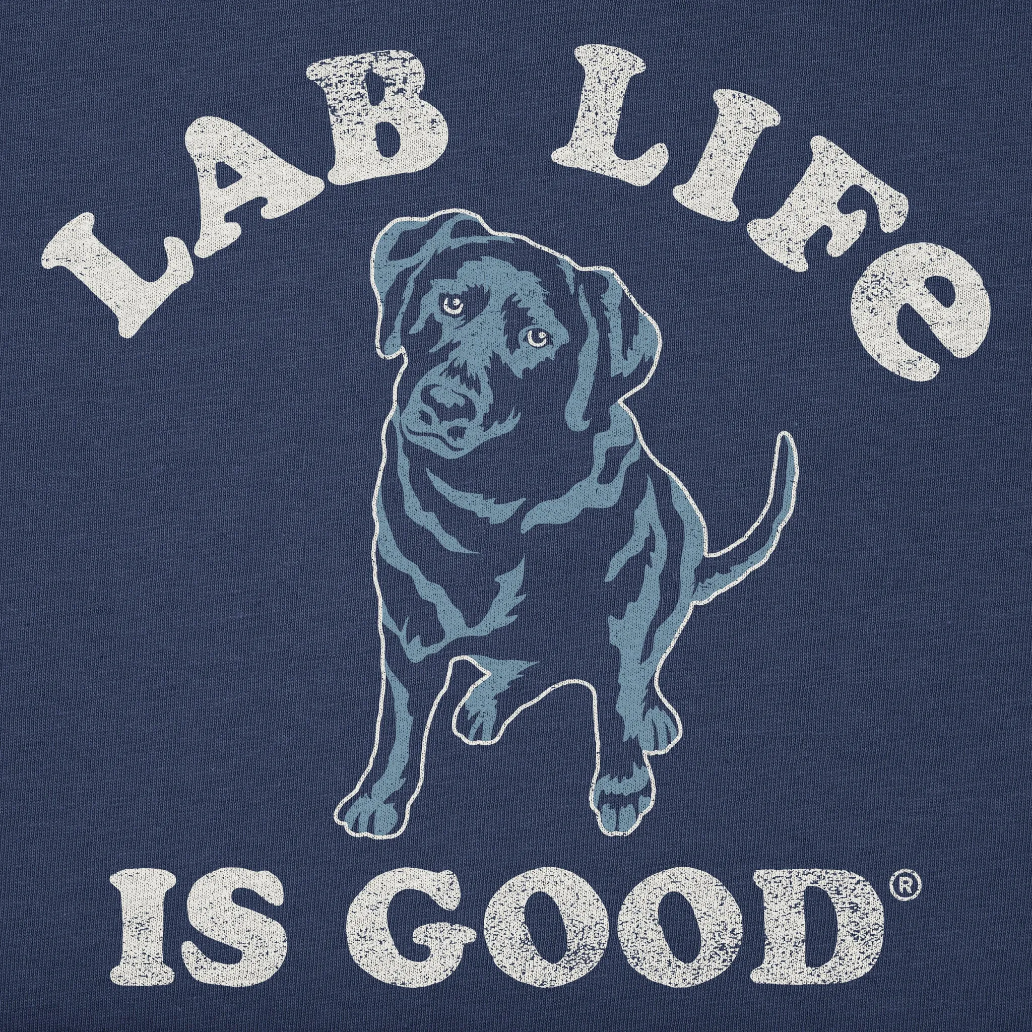 Men's Lab is Good Short Sleeve Crusher Tee Life is Good