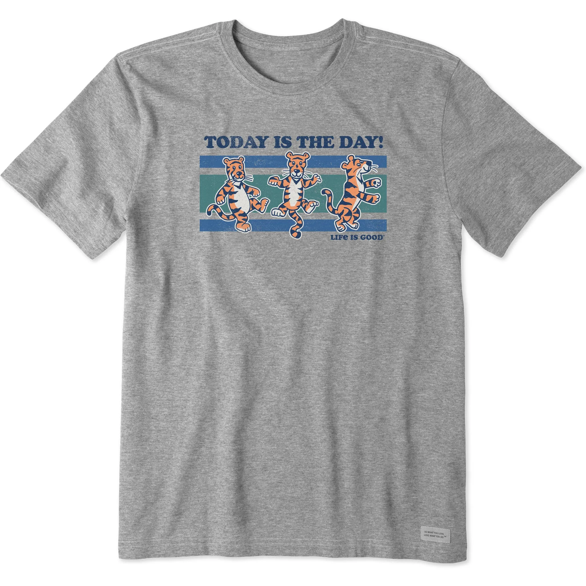Men's Today is the Day Tiger Stripes Short Sleeve Tee Life is Good