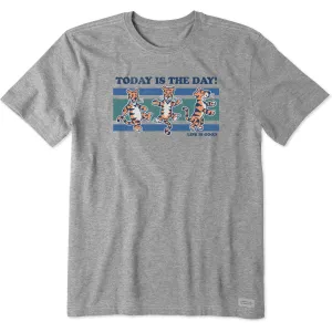 Men's Today is the Day Tiger Stripes Short Sleeve Tee Life is Good