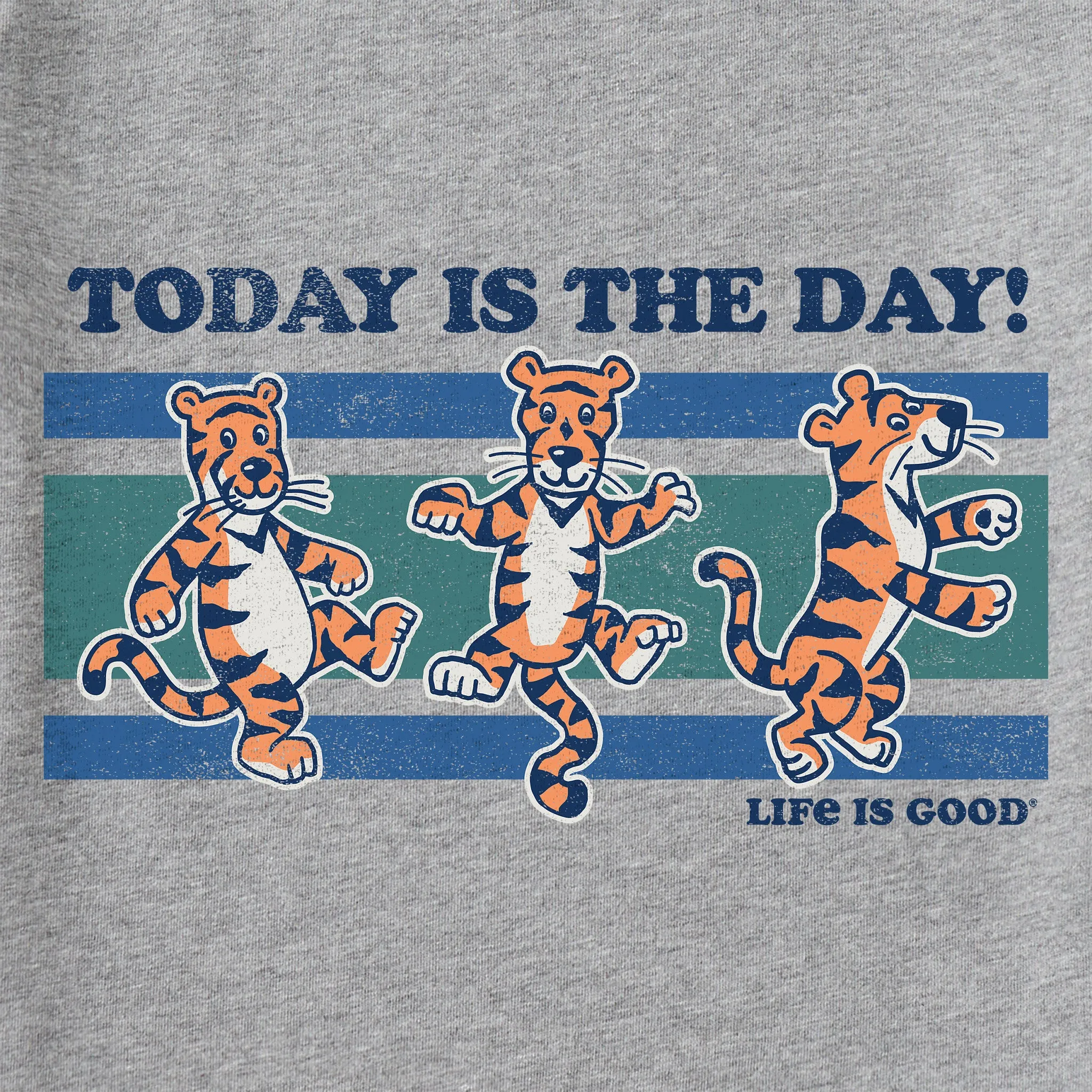 Men's Today is the Day Tiger Stripes Short Sleeve Tee Life is Good