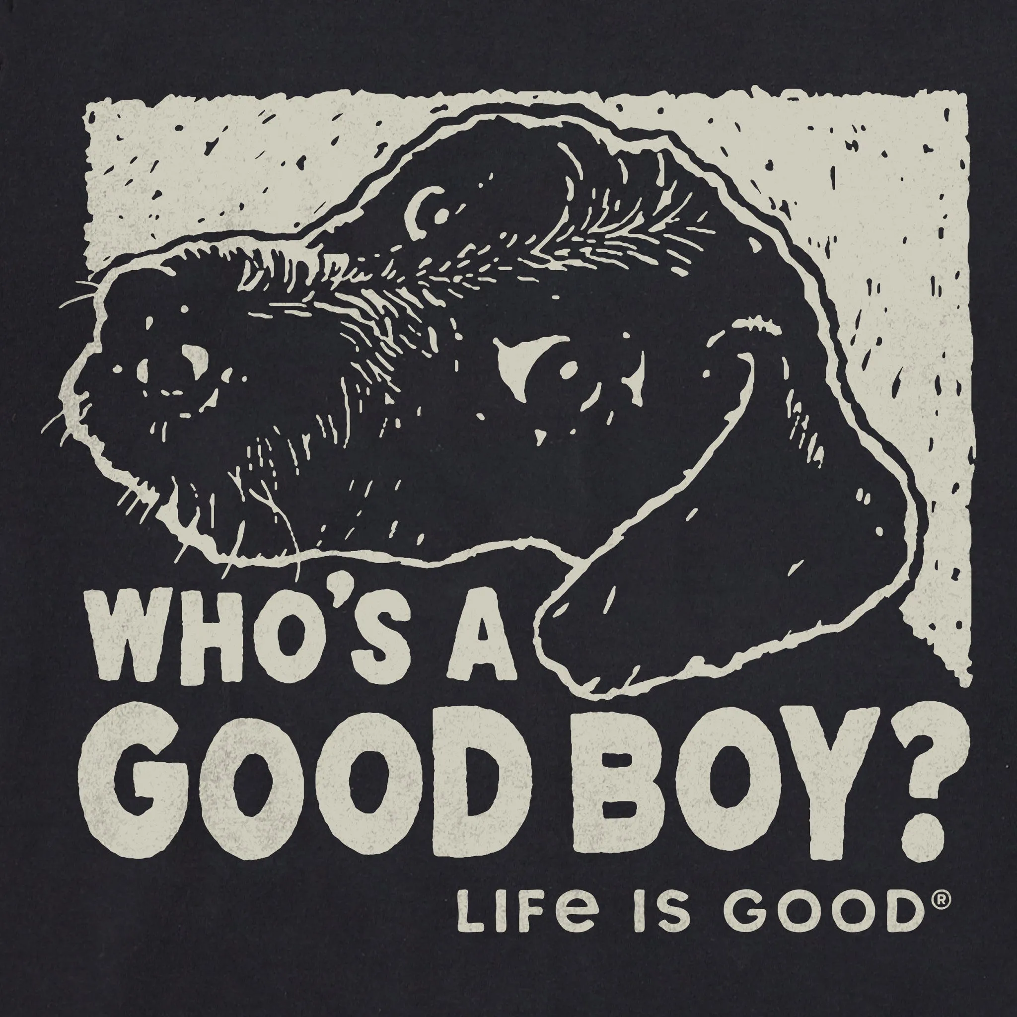 Men's Who's a Good Boy Short Sleeve Crusher Tee Life is Good