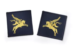 PARA PEGASUS PATCHES (PAIR) Silvermans