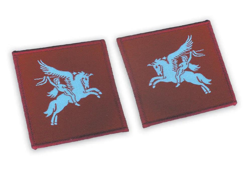 PARA PEGASUS PATCHES (PAIR) Silvermans