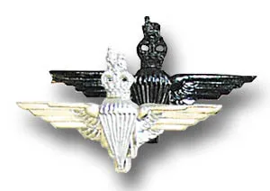 PARA REGT CAP BADGE Silvermans
