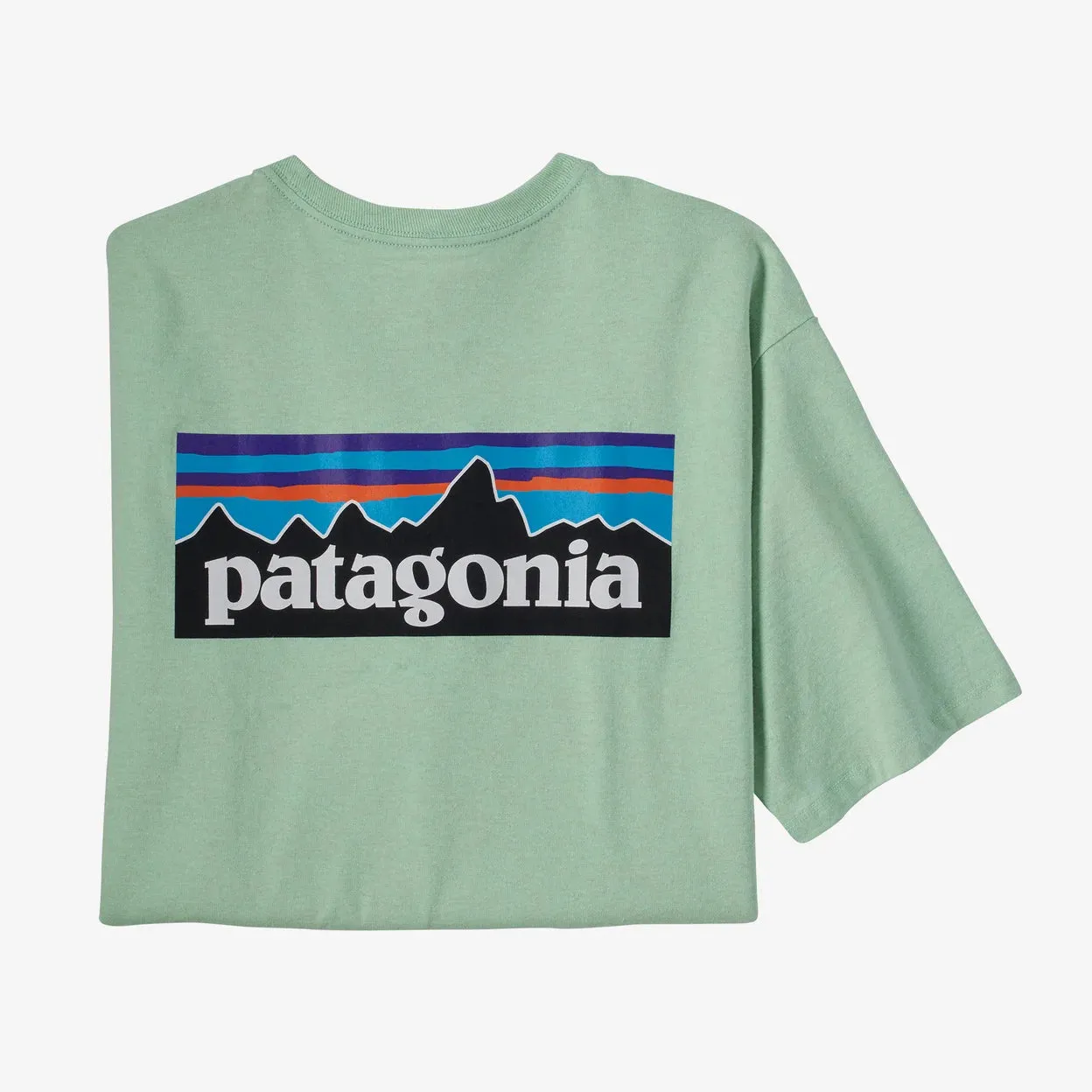 Patagonia Men's P-6 Logo Responsibili-Tee - Tea Green