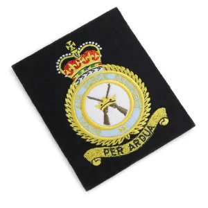 RAF REGIMENT BLAZER BADGE Silvermans