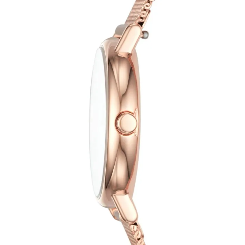 Skagen Signatur Ladies Watch SKW2694