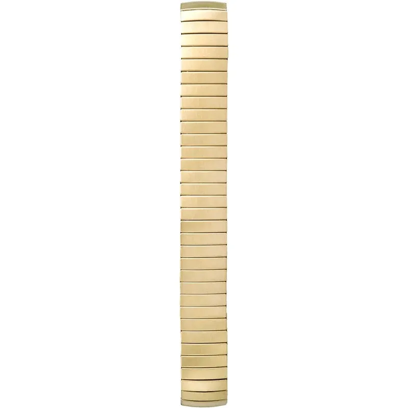 Timex Indiglo Easy Reader Expandable Ladies Watch T2H351