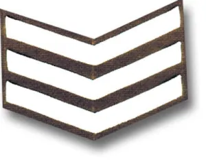 WHITE ON KHAKI SHIRT STRIPES Silvermans